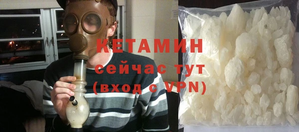 стаф Дрезна