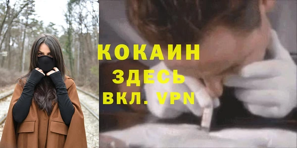 стаф Дрезна