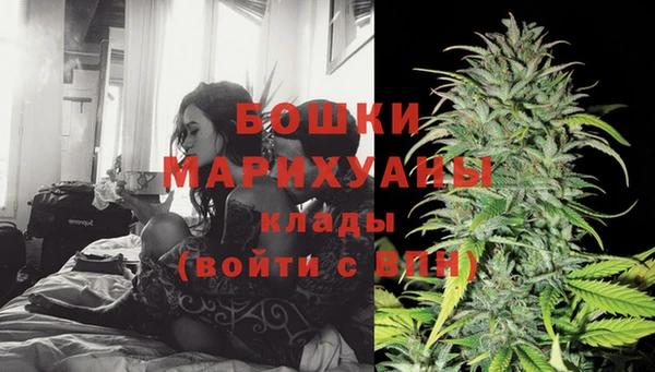 Альфа ПВП Пестово