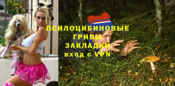 mdpv Пересвет